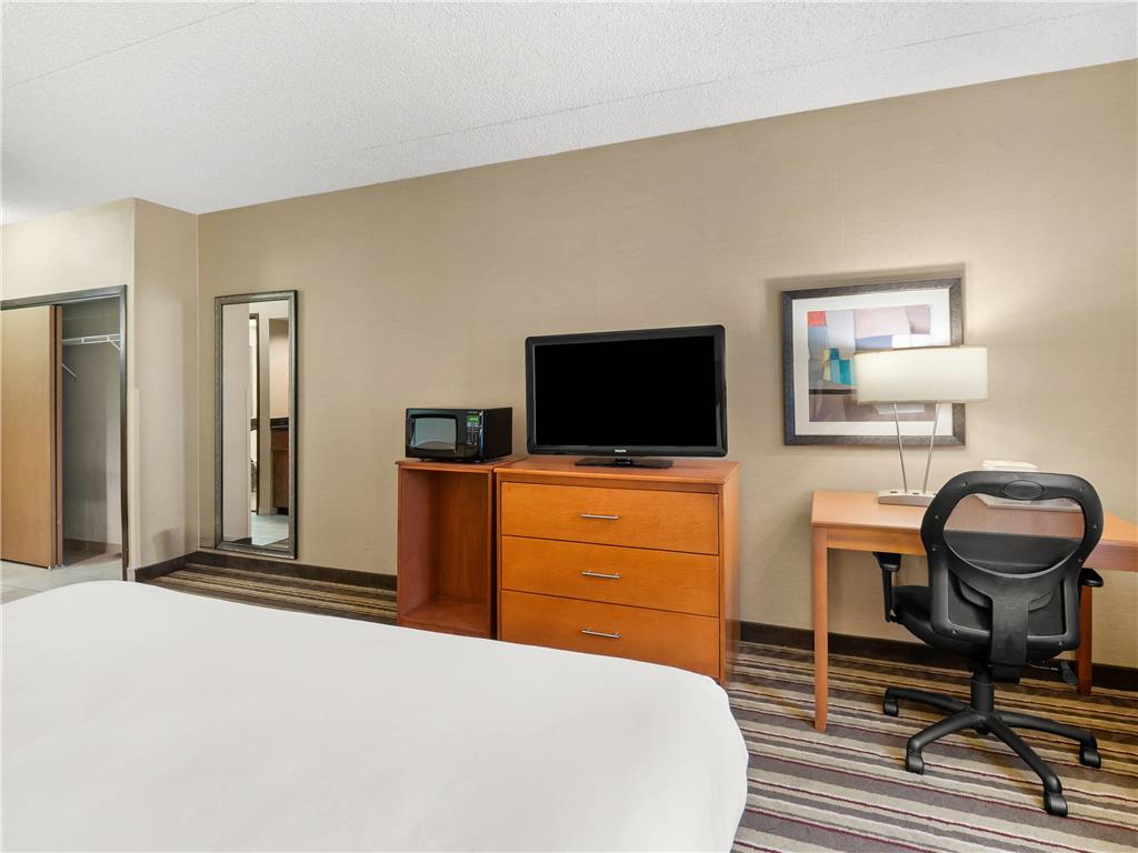 Comfort Inn Metro Airport - photo 36
