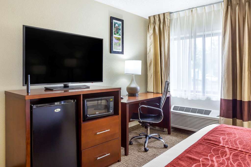 Comfort Inn Hoffman Estates Schaumburg - photo 7