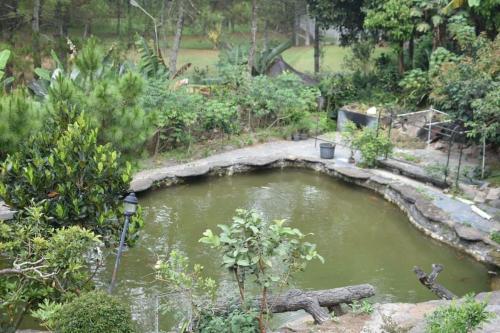 PineHill on a 1740m land — Lembang — photo 3