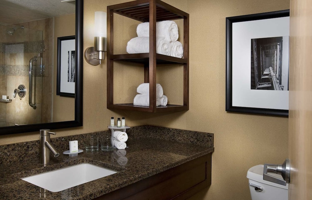 Embassy Suites by Hilton Kansas City International Airport - photo 46