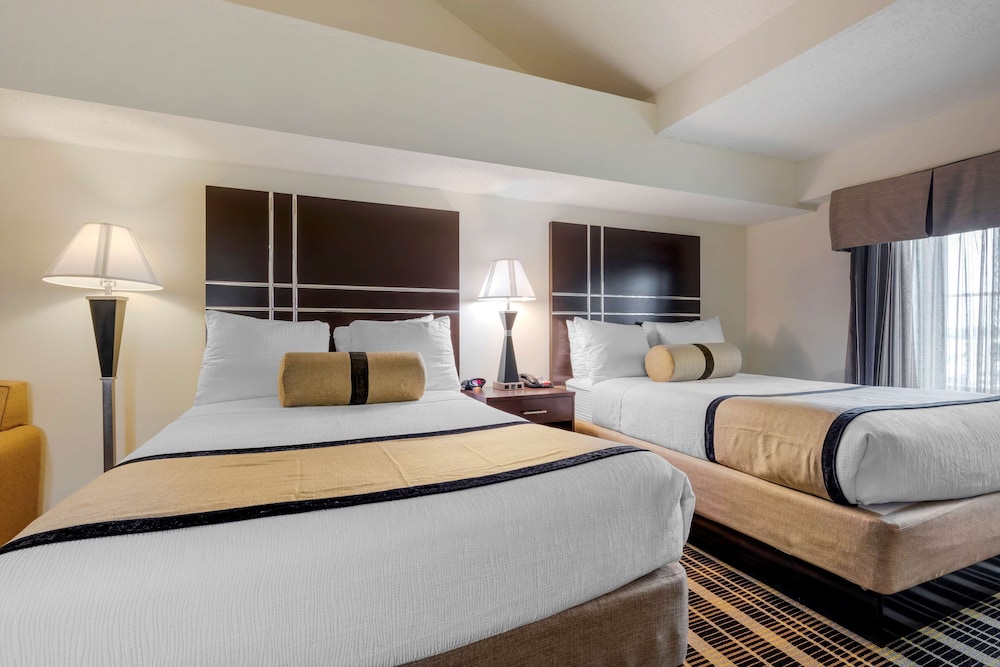 Best Western Plus Rockwall Inn & Suites - photo 15