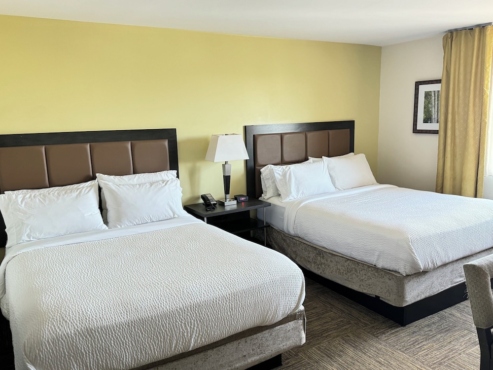 Candlewood Suites Chester Philadelphia International Airport by IHG - photo 21