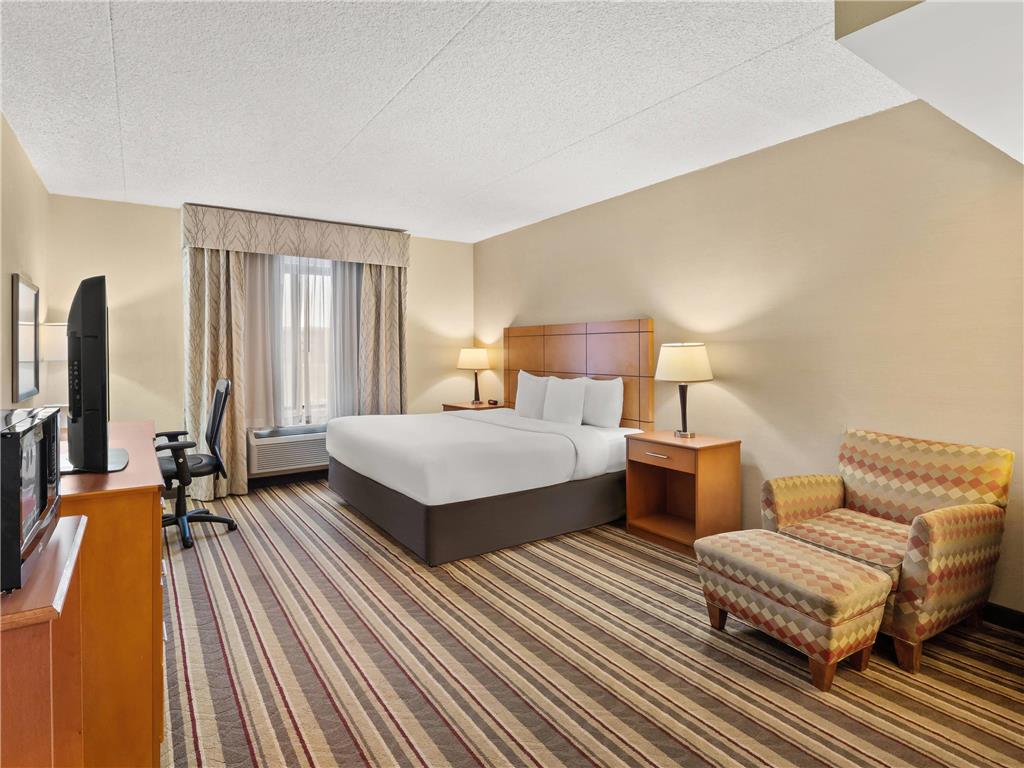 Comfort Inn Metro Airport - photo 25