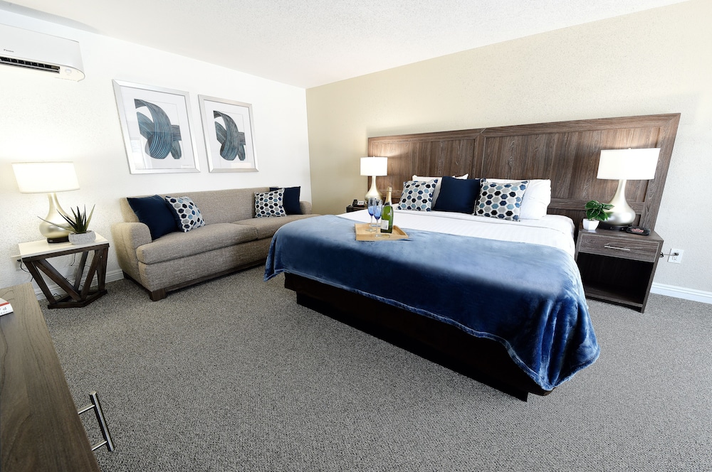 Serene Vegas Boutique Hotel Las Vegas - photo 8