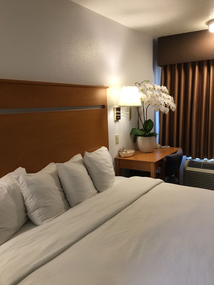 Oceanview Motel Huntington Beach - photo 15