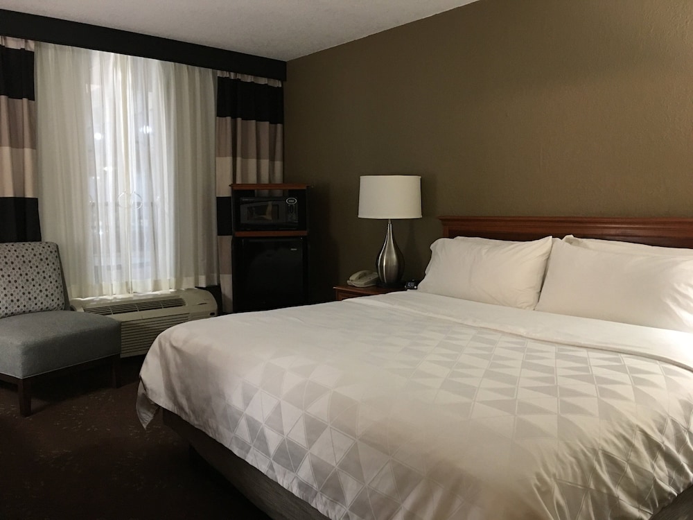 Holiday Inn Alexandria by IHG - photo 12