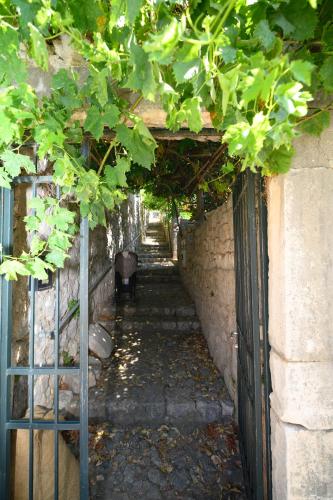 Vintage house Kolocep