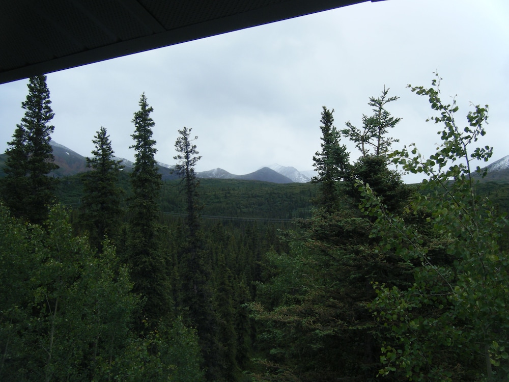 Denali Perch Resort - photo 66