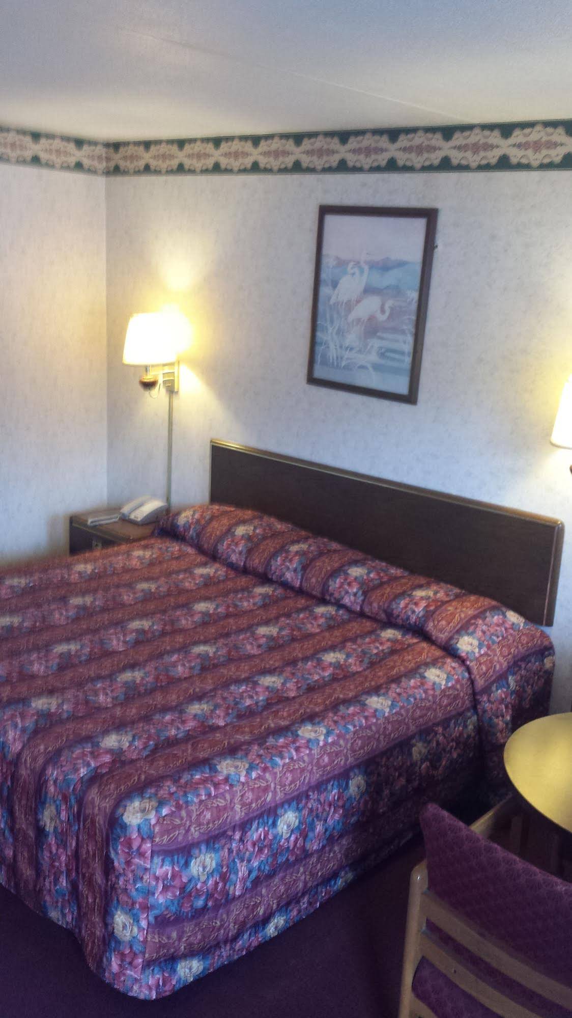 Gateway Inn Knoxville - photo 7