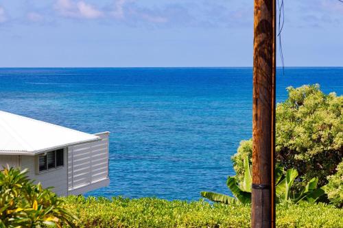 Endless Summer Hale 17944913 — Kailua Kona