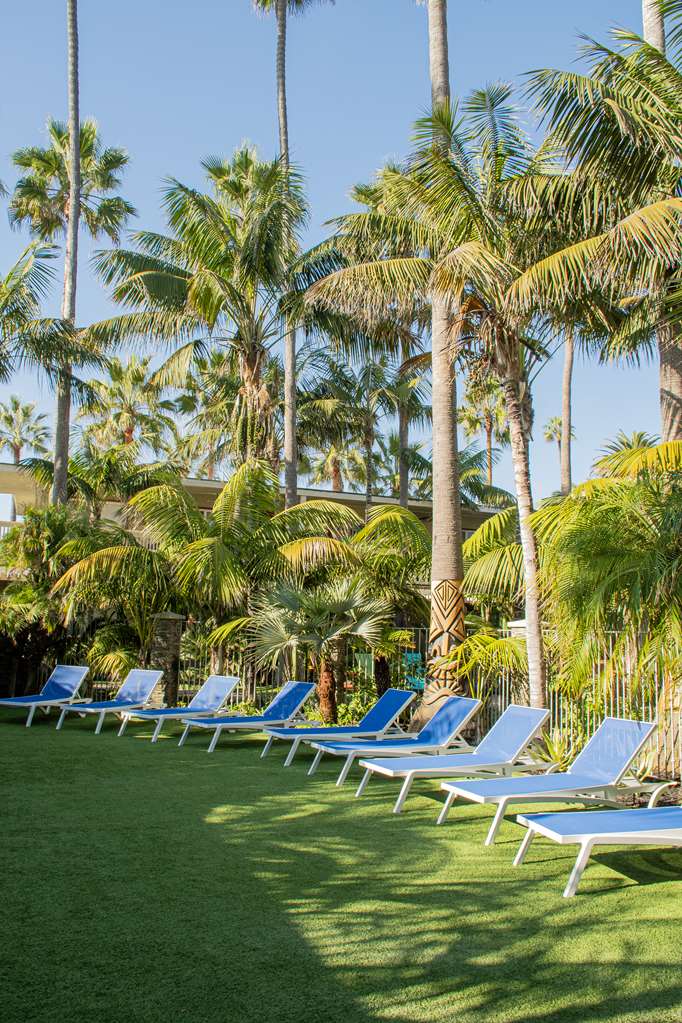Ocean Palms Beach Resort - photo 120