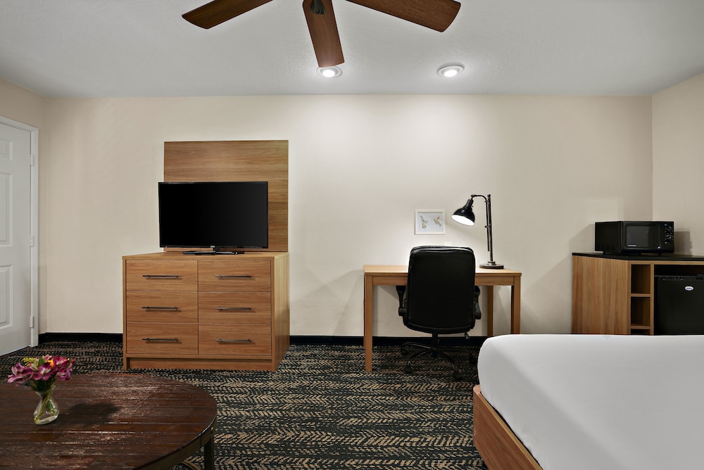 La Fuente Inn & Suites - photo 10