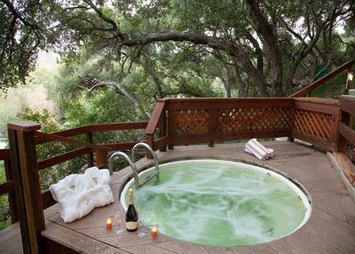 Sycamore Mineral Springs Resort - photo 7
