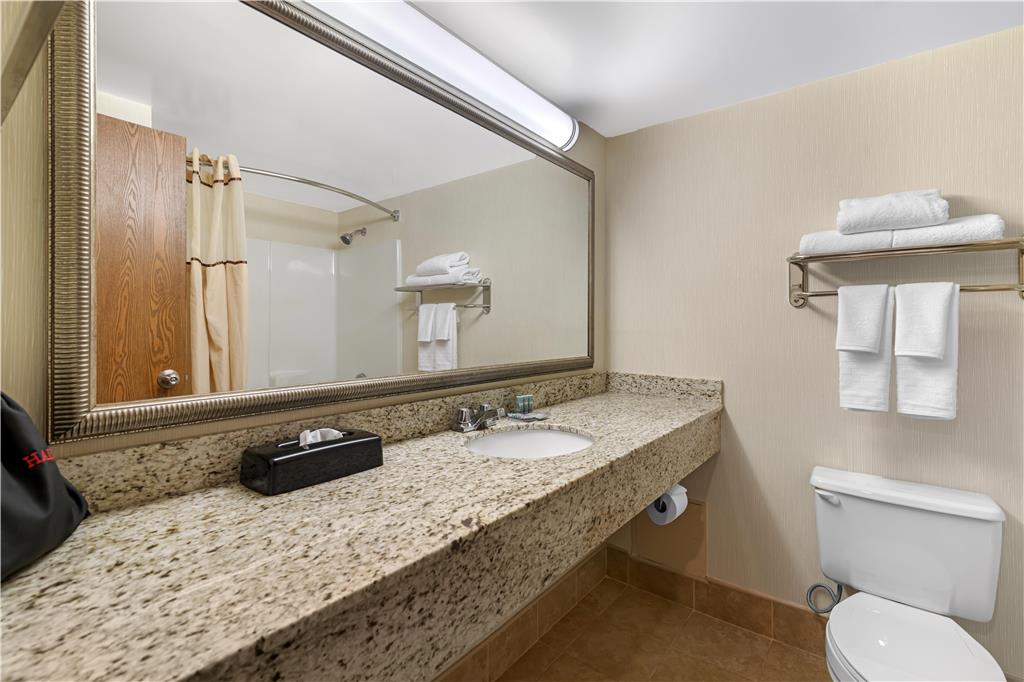 Best Western Royal Plaza Hotel & Trade Center - photo 39