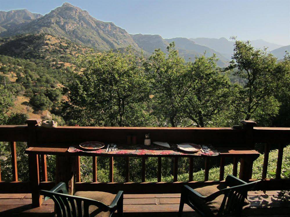 Bellevue Guesthouse - photo 14