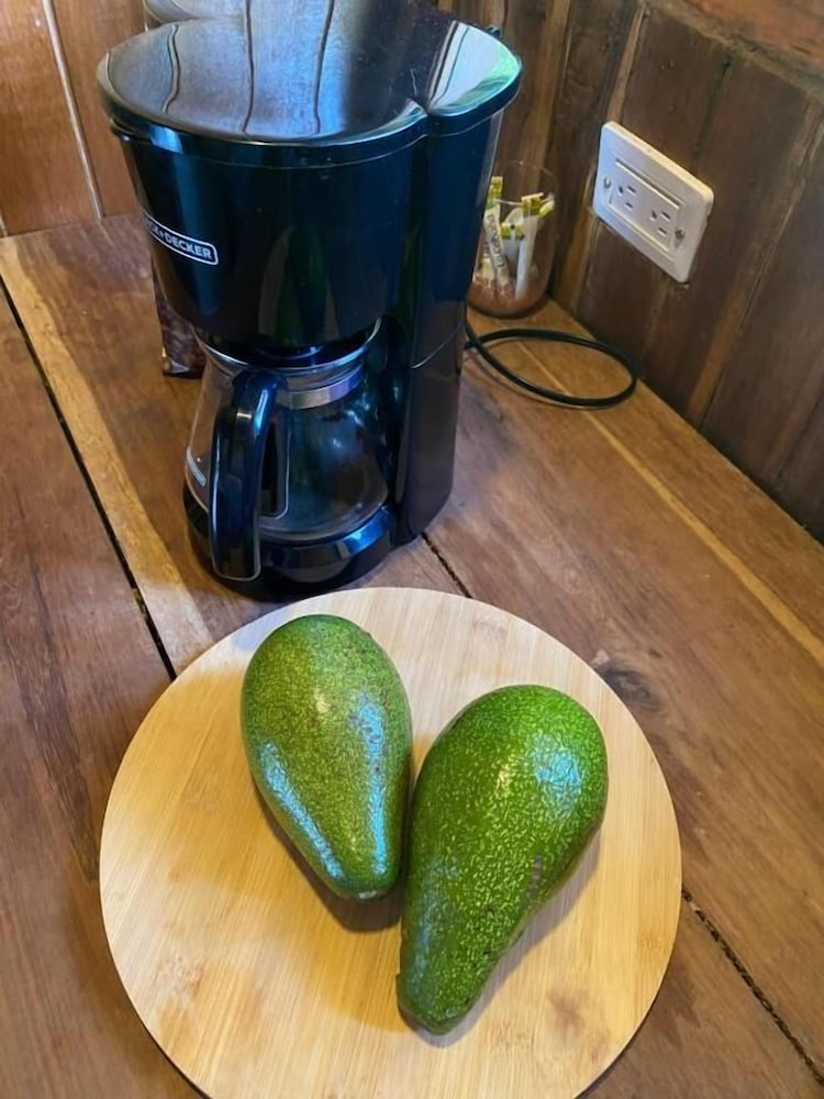 Tiny Houses Unique Tayrona Dentro del Parque Tayrona in Santa Marta, Colombia