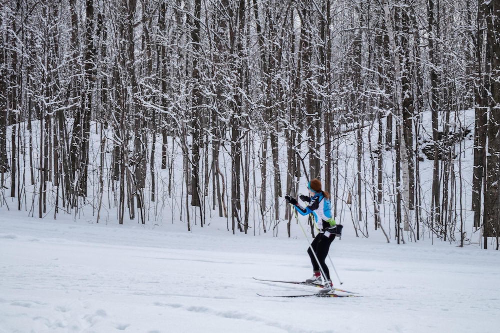 Telemark Northwoods Lodging - photo 92