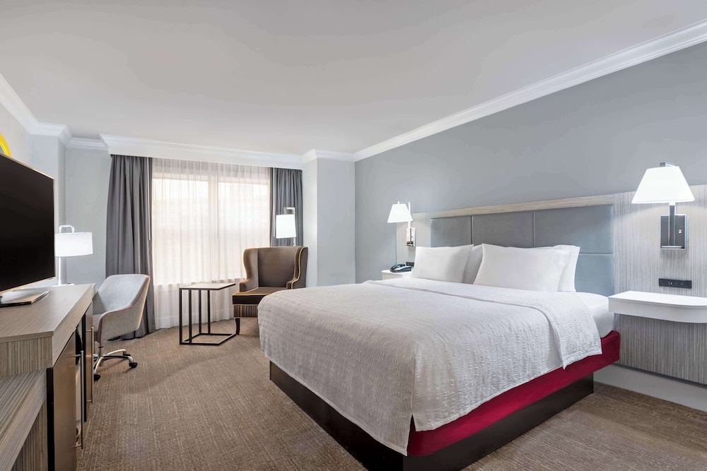 Hampton Inn & Suites Stamford - photo 11