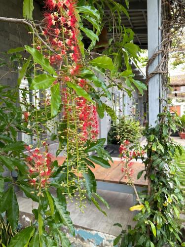 Nghi Homestay — 4-Star Luxury Hotel in Bac Son, Vietnam