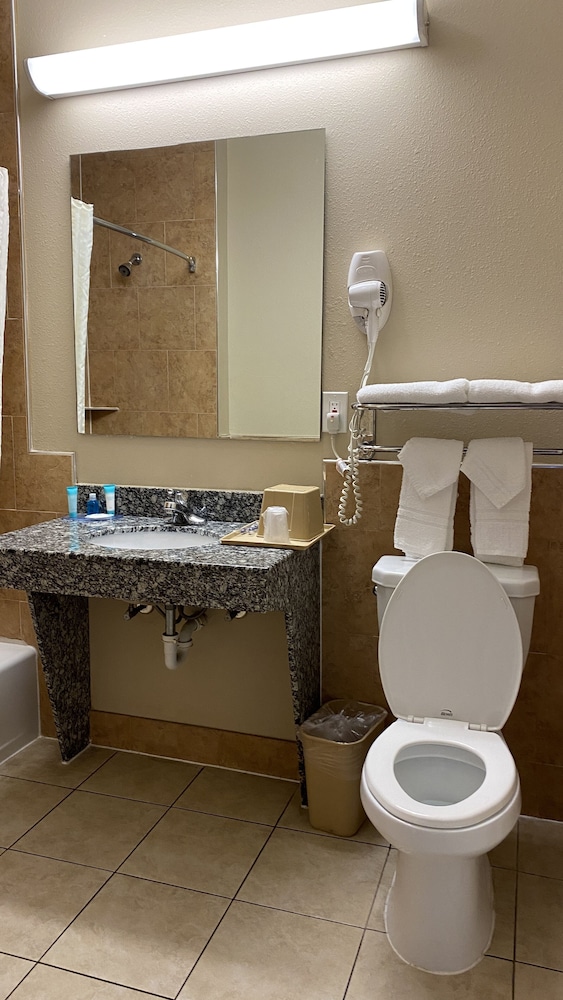 Palace Inn Westheimer - photo 11
