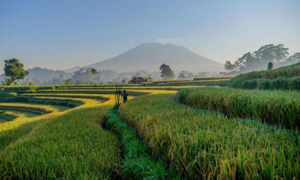 Gladak di Ume — 4-Star Luxury Hotel in Sidemen, Indonesia
