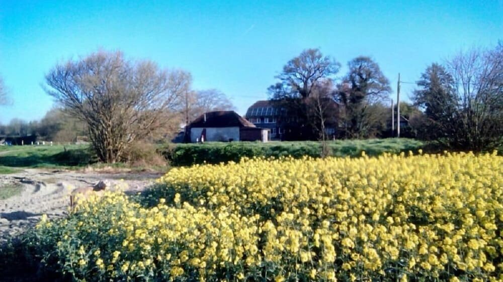 Copper Beeches Accomodation - carbon neutral hotel in Petersfield