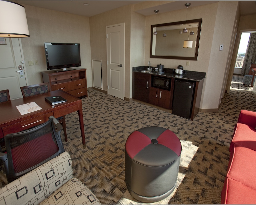 Embassy Suites Buffalo - photo 14