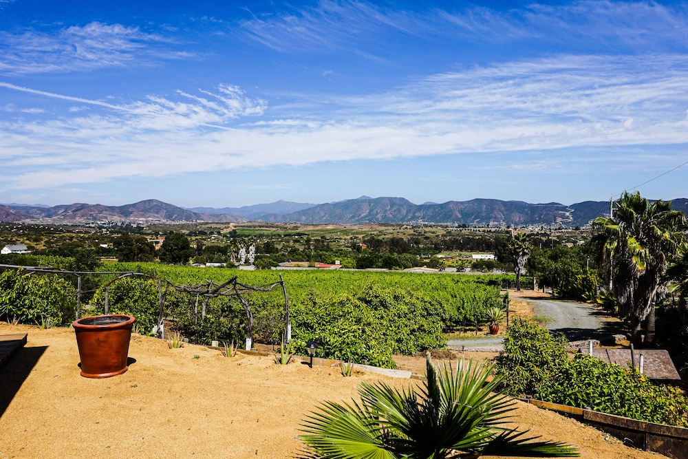 Rancho Cien Piedras in Valle De Guadalupe, Mexico
