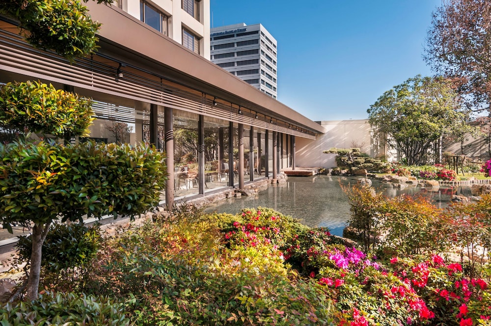 מראה חיצוני