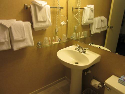 Atrium Hotel and Conference Center - photo 12