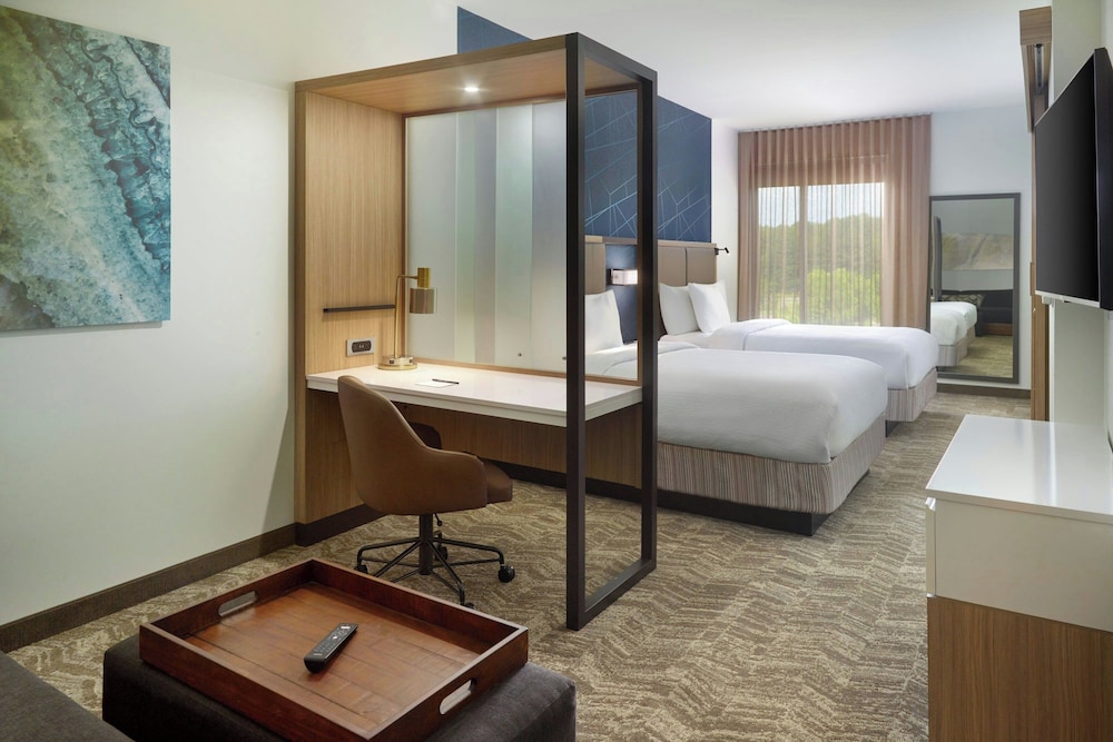 SpringHill Suites by Marriott Ellijay - photo 4