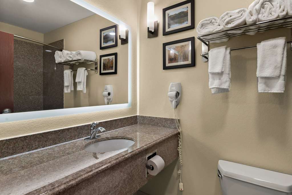 Comfort Inn & Suites Atoka - photo 25