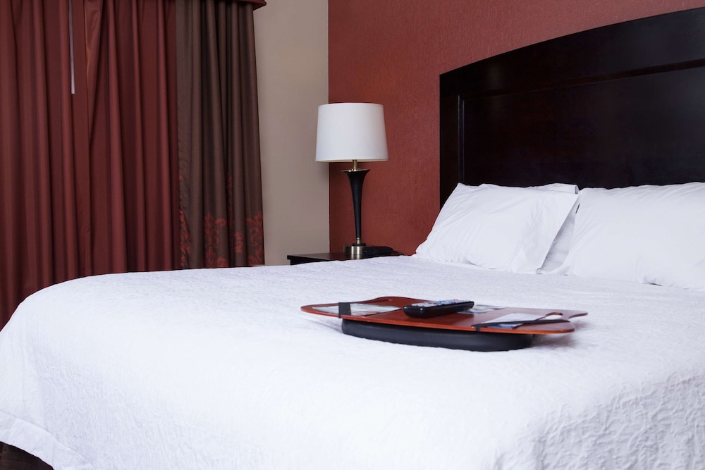 Hampton Inn & Suites Dickinson - photo 12