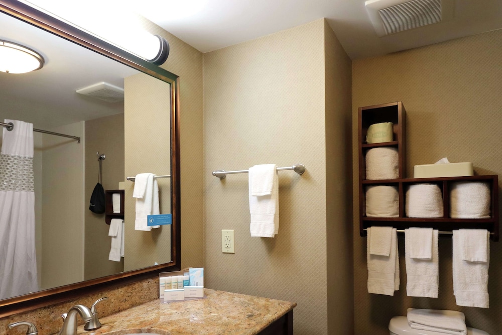 Hampton Inn Columbus South - photo 61