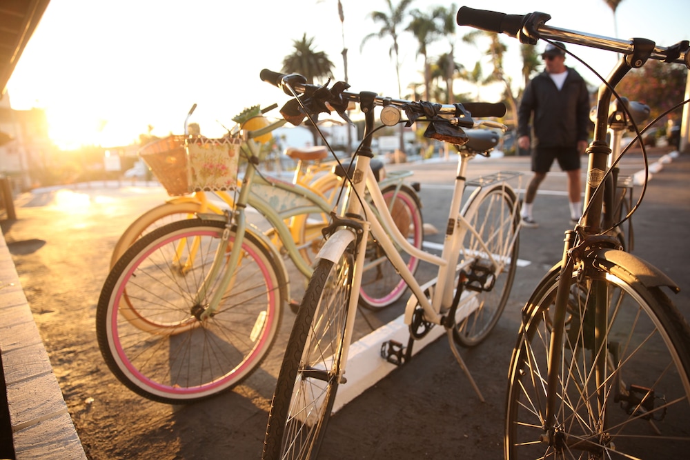 West Coast Surf and Stay - photo 27