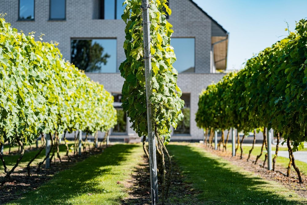 Abalona Hotel & Apartments — hotel in Dendermonde