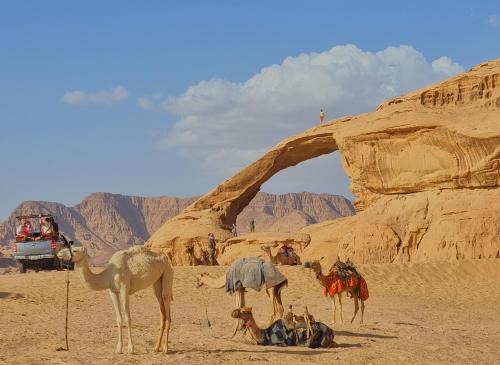 Bubble Emily camp — Wadi Rum — photo 5