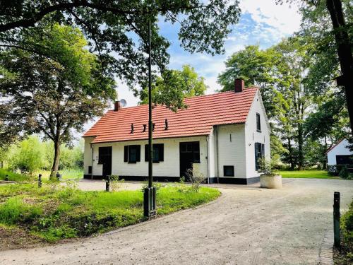 Bosbeertje 43 45 — Erp — photo 2