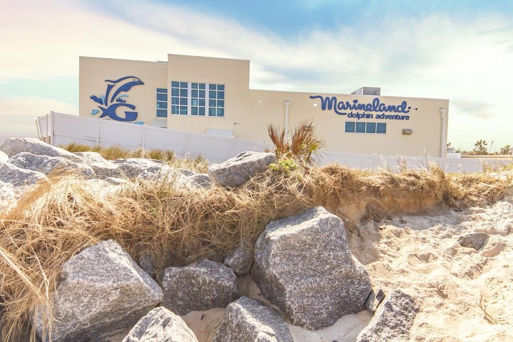 Pelican Inlet C 216 - last minute hotel in Saint Augustine