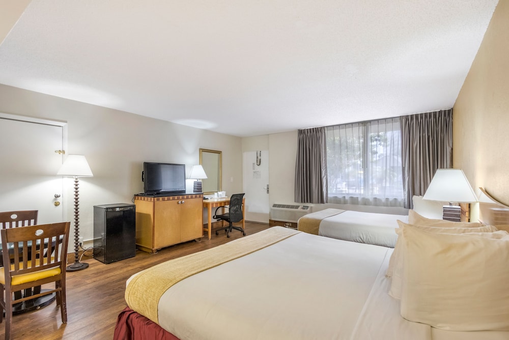 Ocean Reef Hotel - photo 9