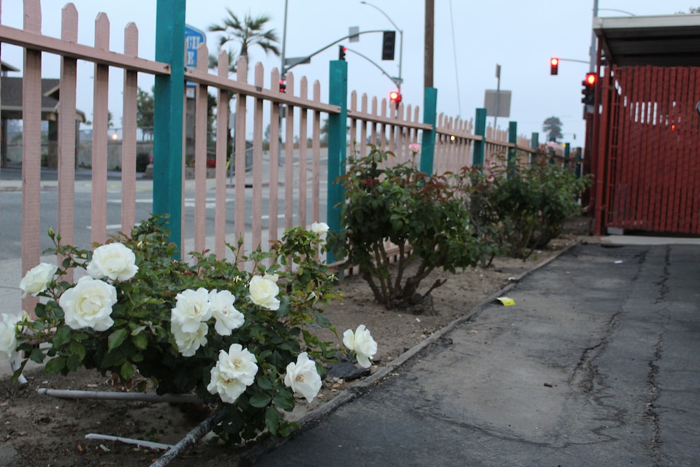 Riverside Inn & Suites Santa Cruz - photo 61