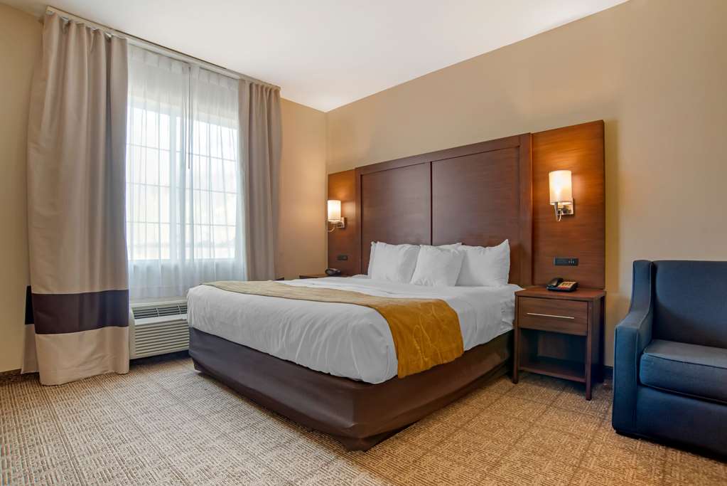 Comfort Suites Alexandria North - photo 14