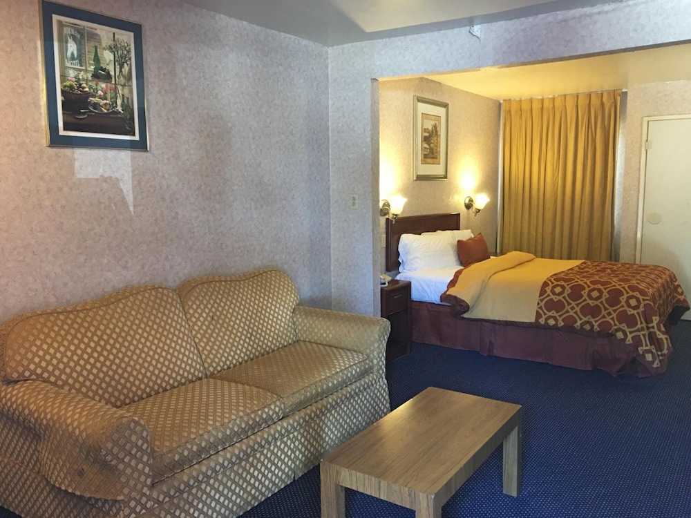 Executive Suites Inn - photo 9