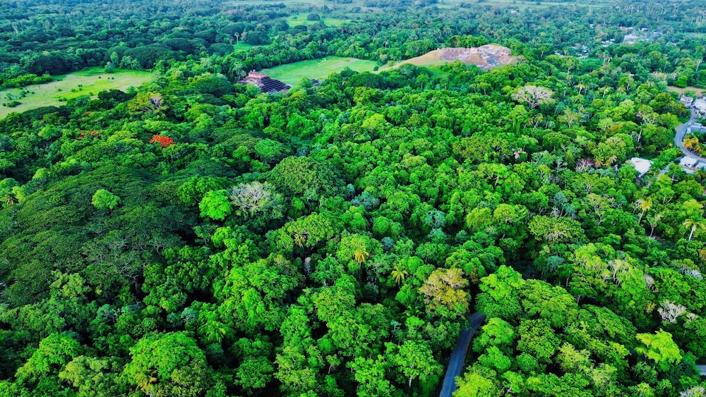 Los Fundadores Estancia Ecologica — Comalcalco