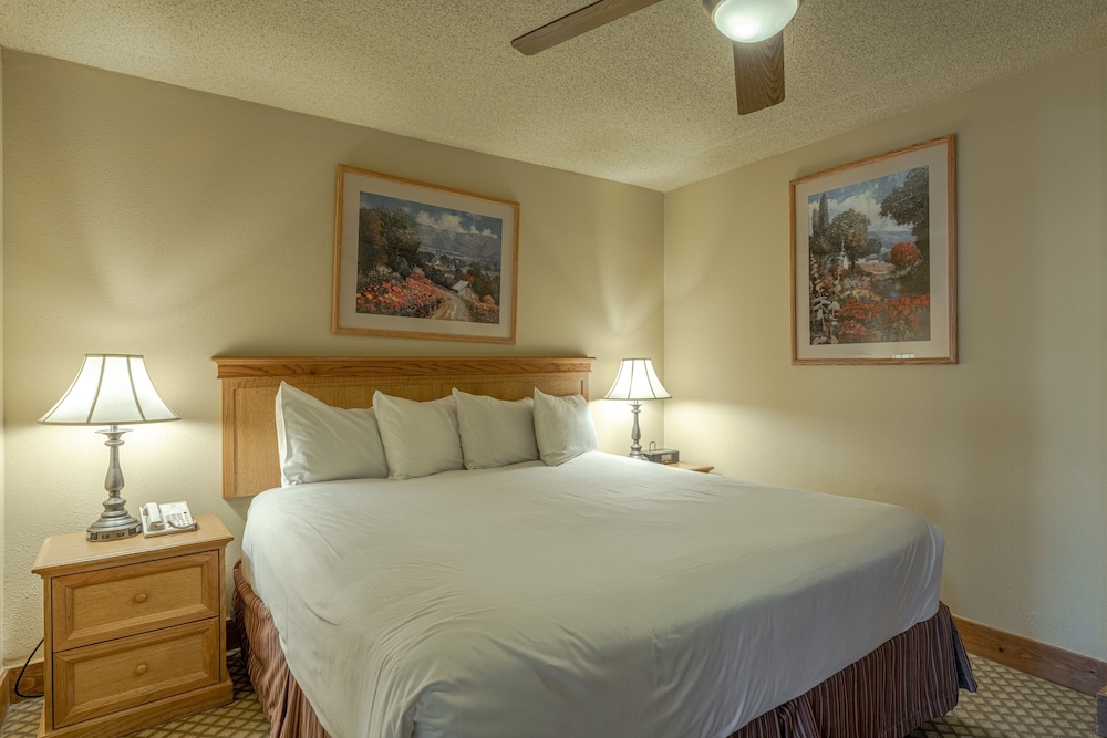Crested Butte Mountain Resort - photo 13