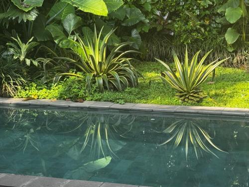 Ubud Uma Ijo — Ubud — photo 4