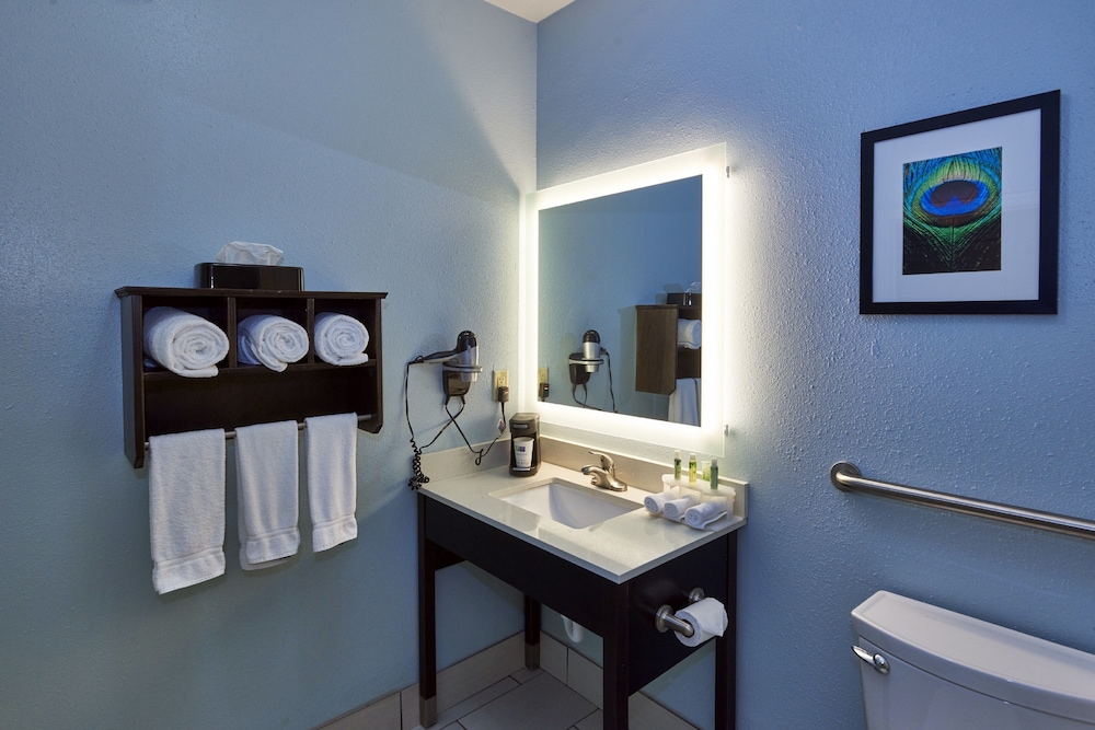 Holiday Inn Express & Suites Birmingham South Pelham by IHG - photo 9
