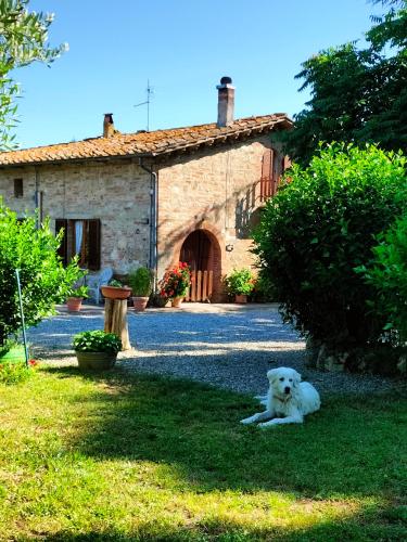 L’oca Nera — Chiusi — photo 4