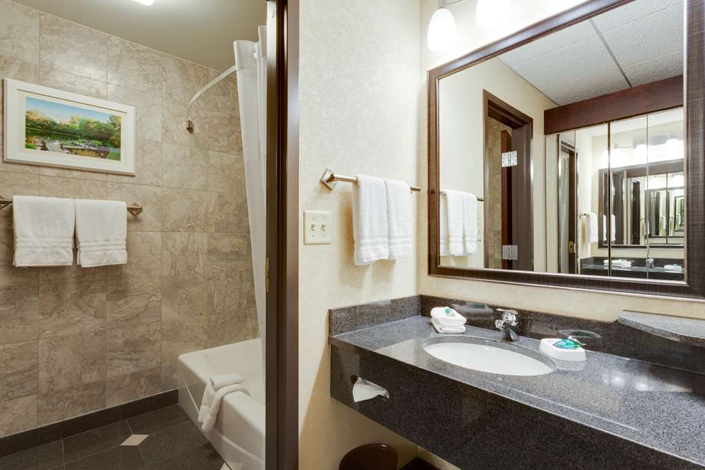 Drury Plaza Hotel St. Louis at the Arch - photo 25