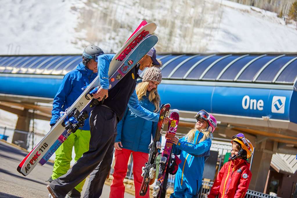 The Sebastian Vail - photo 4